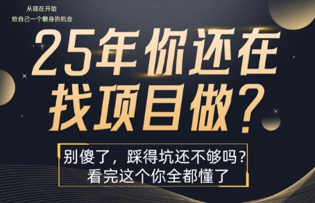 25年，你还在疯狂的找项目吗？别傻了，看完这个你都懂了【揭秘】-立业有术
