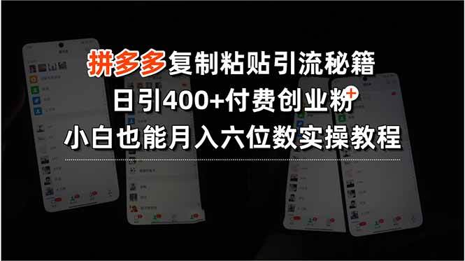（15613期）拼多多复制粘贴引流秘籍，日引400+付费创业粉，小白也能月入六位数实操…-立业有术