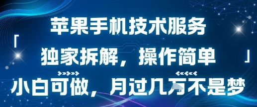 苹果手机技术服务，独家拆解，操作简单，小白可做，月过1W不是梦-立业有术