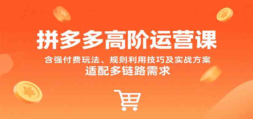 拼多多高阶运营课，含强付费玩法、规则利用技巧及实战方案，适配多链路需求-立业有术