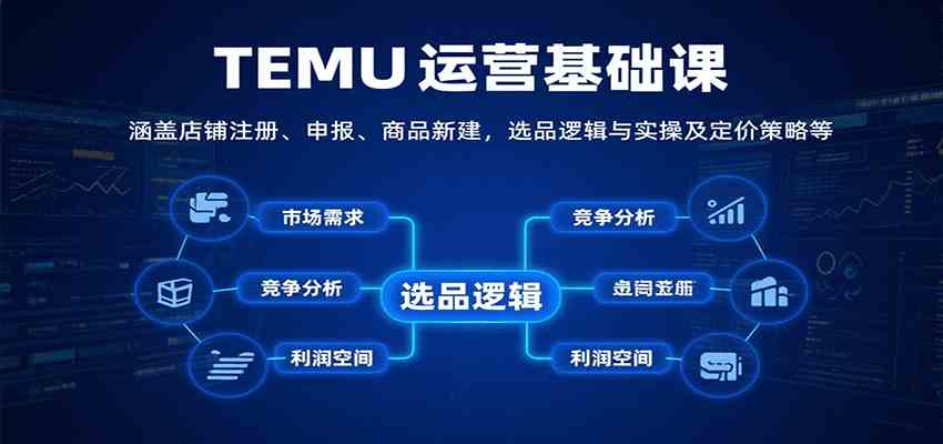 TEMU运营基础课：涵盖店铺注册、申报、商品新建，选品逻辑与实操及定价策略等-立业有术
