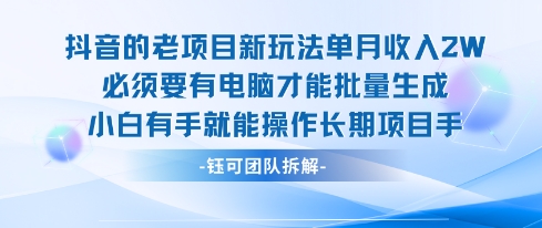 老项目新玩法单月收入2W小白有手就能操作长期项目-立业有术