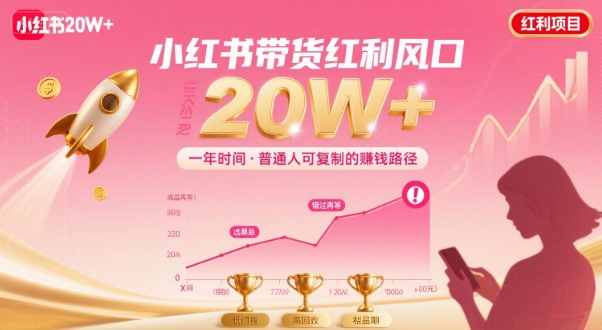 一年时间靠小红书带货项目年入20w+，最不能错的大红利项目-立业有术