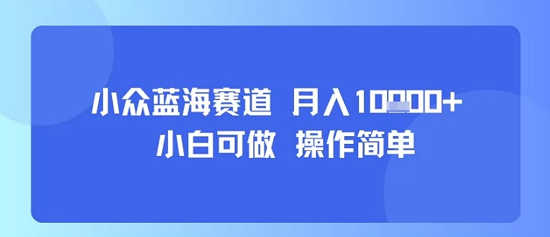 小众蓝海赛道，小白可做，操作简单，每天30分钟，月入1W+-立业有术