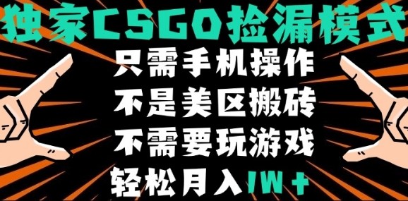CSGO自动捡漏项目，最新独家玩法，不是美区搬砖，不需要了解和玩游戏，新手小白轻松月入1W+【揭秘】-立业有术