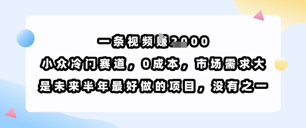 一条视频挣1k，小众冷门赛道，0成本，市场需求大，是未来半年最好做的项目，没有之一-立业有术