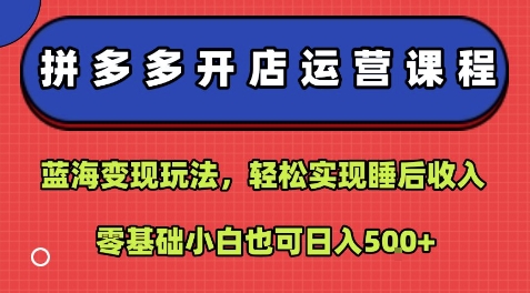 拼多多开店运营课程：蓝海变现玩法，轻松实现睡后收入，零基础小白也可日入5张-立业有术