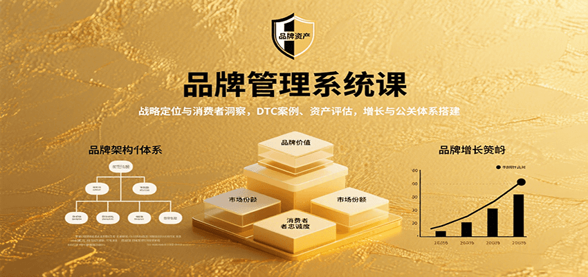 品牌管理系统课：战略定位与消费者洞察，DTC案例、资产评估，增长与公关体系搭建-立业有术