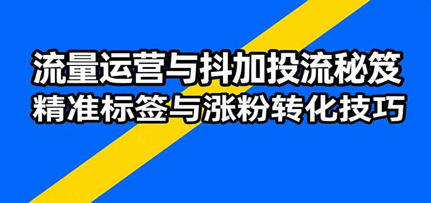 流量运营与抖加投流秘笈，含算法解析、爆款打造、精准标签与涨粉转化技巧-立业有术