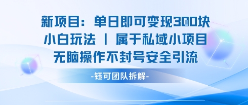 新项目单日即可变现3张的小白玩法无脑操作不封号安全引流-立业有术