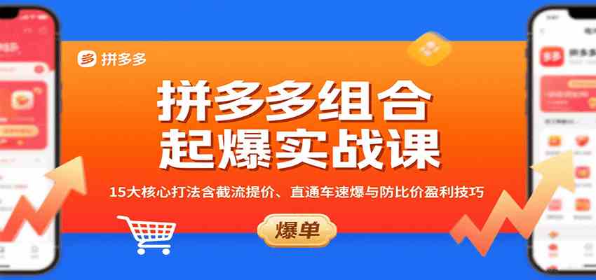拼多多组合起爆实战课：15大核心打法含截流提价、直通车速爆与防比价盈利技巧-立业有术