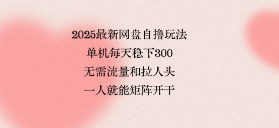 2025最新网盘自撸玩法，单机每天稳下3张，无需流量和拉人头，一个人就可轻松矩阵，全网独一份【揭秘】-立业有术