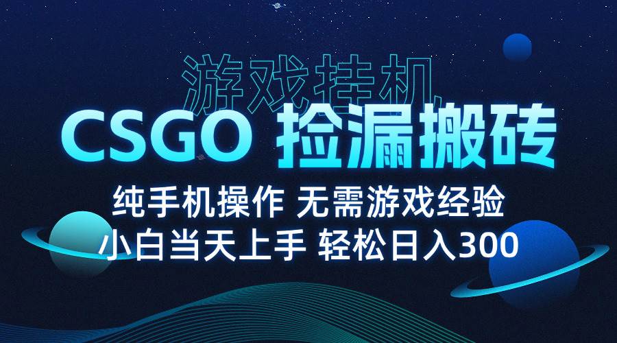 （15820期）8月最新游戏搬砖，CSGO纯挂机，不需要玩游戏，实现真挂机，月入1W+-立业有术