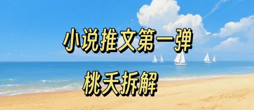 小说推文项目操作全流程第一弹，0粉就能做，门槛低非常适合新手-立业有术