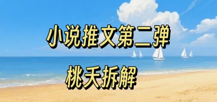 小说推文项目操作全流程第二弹，0粉就能做，门槛低非常适合新手-立业有术