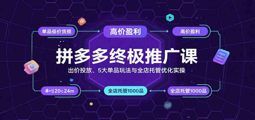 拼多多终极推广课：出价投放、5大单品玩法与全店托管优化实操-立业有术