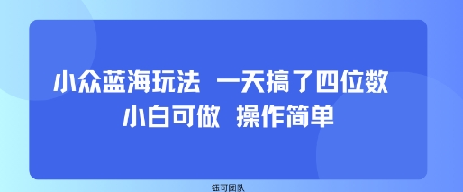 小众蓝海玩法 一天搞了四位数 小白可做 操作简单-立业有术