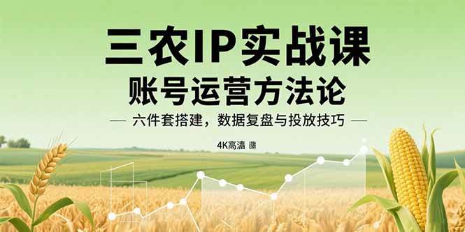 （15864期）三农IP实战课：账号运营方法论，六件套搭建，数据复盘与投放技巧-立业有术