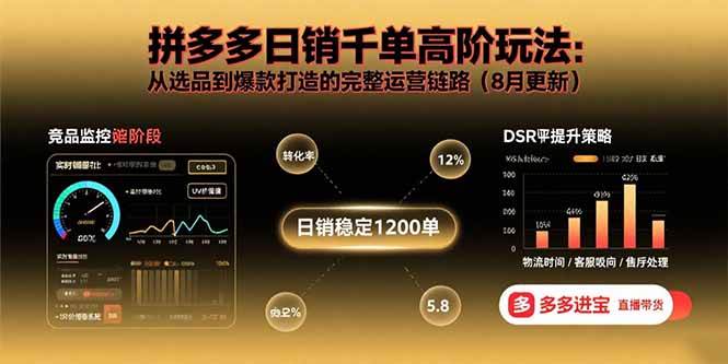 （15850期）拼多多日销千单高阶玩法：从选品到爆款打造的完整运营链路（8月更新）-立业有术