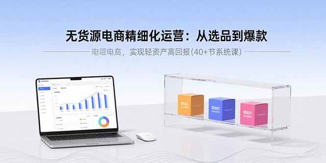 （15896期）无货源电商精细化运营：从选品到爆款，实现轻资产高回报(40+节系统课)-立业有术