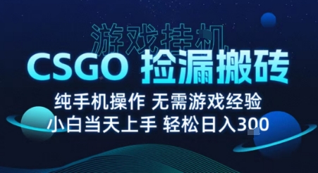 8月最新游戏搬砖，CSGO纯挂G，不需要玩游戏，实现真挂G，月入1W+【揭秘】-立业有术