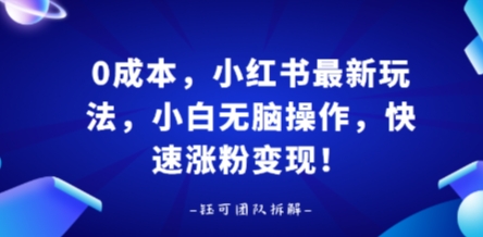 0成本，小红书最新玩法，小白无脑操作，快速涨粉变现-立业有术