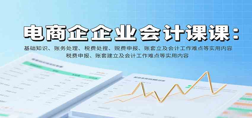 电商企业会计课：基础知识、账务处理、税费申报、账套建立及会计工作难点等实用内容-立业有术