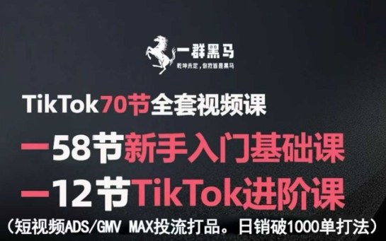 TikTok全套视频课，新手入门+进阶课，短视频ADS-GMV MAX投流打品，日销破1000单打法-立业有术