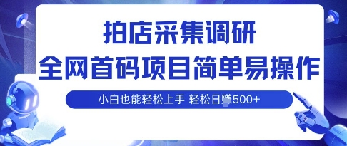 拍店采集调研，全网首码项目，简单易操作， 小白也能轻松上手，多账号操作，轻松日入5张【揭秘】-立业有术