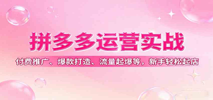 拼多多运营实战，付费推广、爆款打造、流量起爆等，新手轻松起店-立业有术