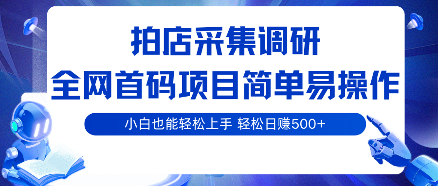 拍店采集调研，全网首码项目，简单易操作， 小白也能轻松上手，轻松日赚500+-立业有术