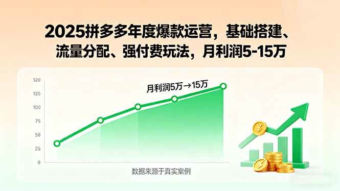 （15973期）2025拼多多年度爆款运营，基础搭建、流量分配、强付费玩法，月利润5-15万-立业有术