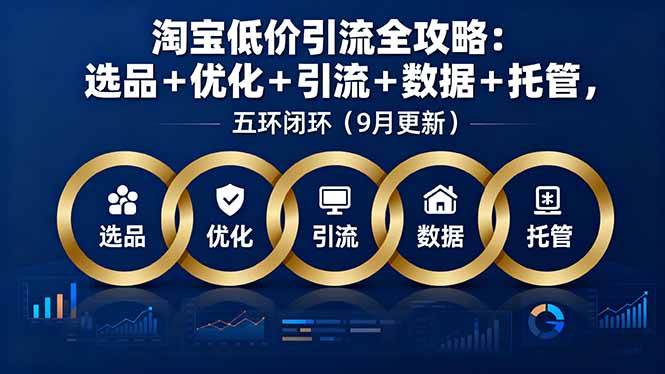 （16009期）淘宝低价引流全攻略：选品＋优化＋引流＋数据＋托管，五环闭环（9月更新）-立业有术