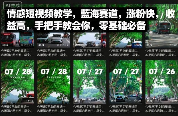 情感短视频教学，蓝海赛道，涨粉快，收益高，手把手教会你，零基础必备-立业有术