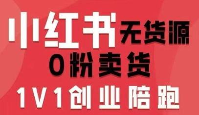 小红书无货源0粉电商课，开店准备、选品策略、笔记撰写、视频剪辑、数据分析、账号打造、资料文档-立业有术