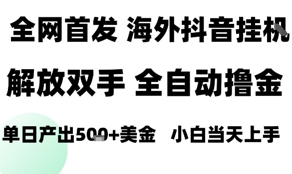 海外抖音无人直播，单日产出1.5k+，长期稳定，新手可玩，无脑操作【揭秘】-立业有术