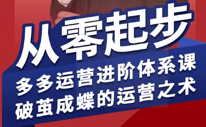 拼多多运营进阶系统课，从零起步，多多运营进阶体系课，破茧成蝶的运营之术（更新9月）-立业有术