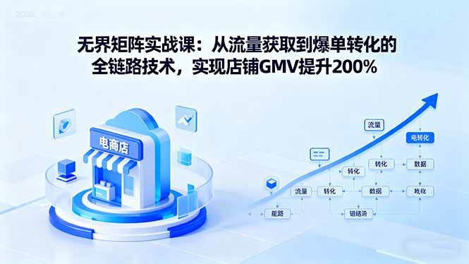 （16104期）无界矩阵实战课：从流量获取到爆单转化的全链路技术，实现店铺GMV提升200%-立业有术
