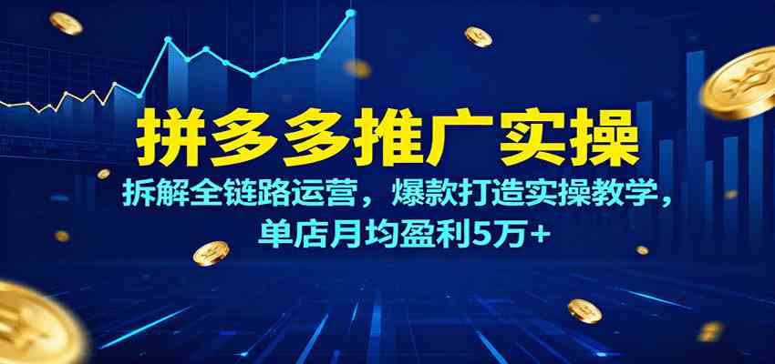 拼多多推广实操，拆解全链路运营，爆款打造实操教学，单店月均盈利5万+-立业有术