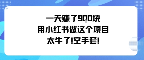 一天挣了9张用小红书做这个项目太牛了，空手套-立业有术