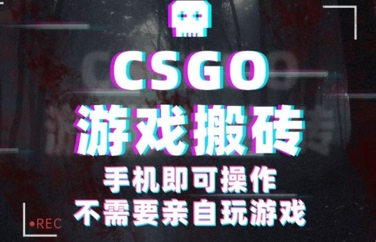 CSGO游戏挂G捡漏，单日扫货5张+，年底小高峰上车可吃肉，手机即可操作，兼职副业创业网创【揭秘】-立业有术