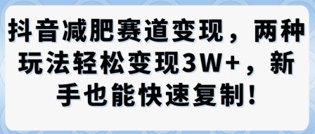 抖音减肥赛道变现，两种玩法轻松变现3W+，新手也能快速复制-立业有术
