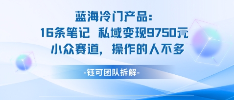 蓝海项目：16条笔记私域变现9750米小众赛道操作的人不多-立业有术