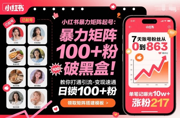 小红书暴力矩阵起号，教你打通引流-变现速通，日锁100+粉，破流量黑盒-立业有术