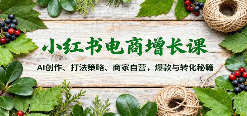 小红书电商增长课：AI创作、打法策略、商家自营，爆款与转化秘籍-立业有术