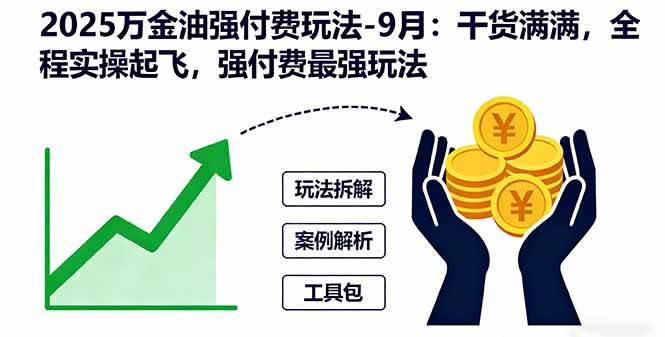 （16202期）2025万金油强付费玩法-9月：干货满满，全程实操起飞，强付费最强玩法-立业有术