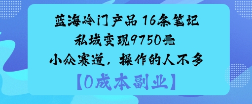 蓝海冷门产品：16条笔记私域变现9750米小众赛道，操作的人不多-立业有术