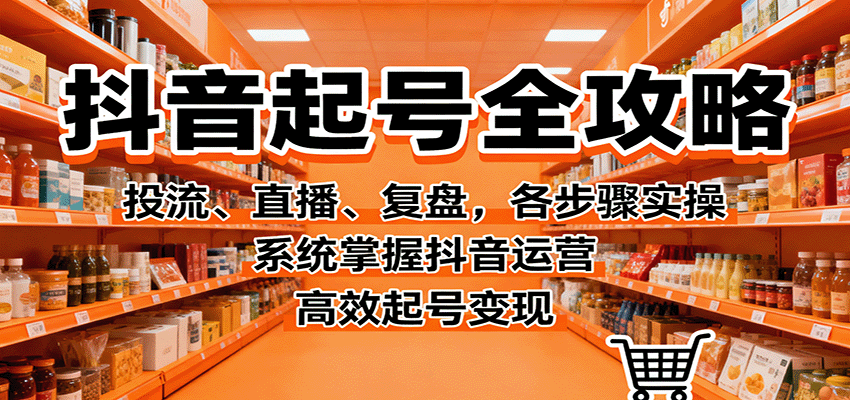 抖音起号全攻略，投流、直播、复盘，各步骤实操，系统掌握抖音运营，高效起号变现-立业有术