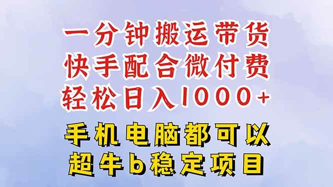 （16285期）快手黑科技一分钟搬运带货，一刀不剪过原创，微付费投流玩法，轻松日入…-立业有术