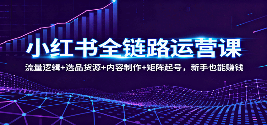 小红书全链路运营课：流量逻辑+选品货源+内容制作+矩阵起号，新手也能赚钱-立业有术